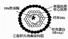 &#31435;&#21338;